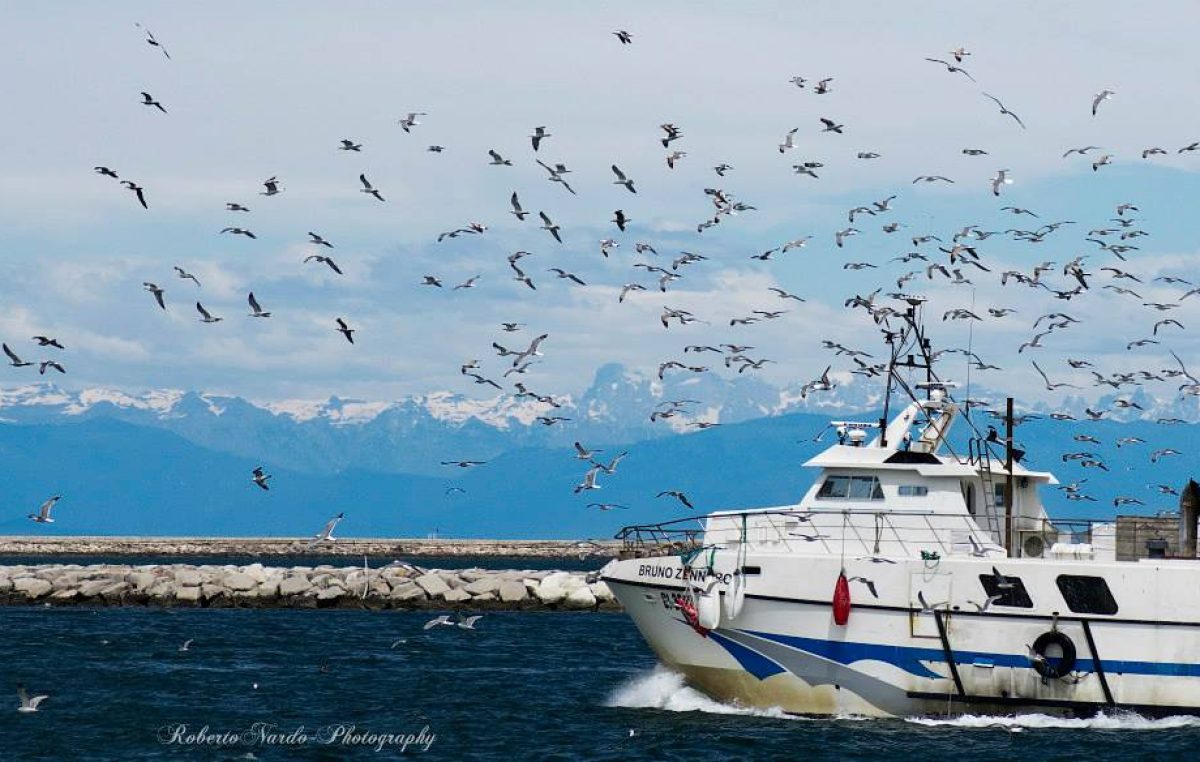 LA MARINERIA DI VENEZIA: LA PESCA A VENEZIA TRA STORIA ED ARTE!