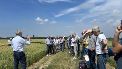 FRUMENTO SOSTENIBILE: PRESENTATI I RISULTATI DELLE PROVE SPERIMENTALI