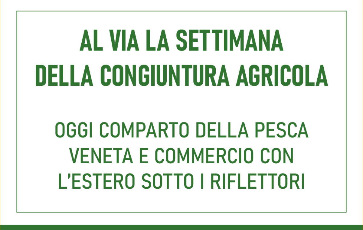 VENETO AGRICOLTURA, AL VIA LA SETTIMANA DELLA CONGIUNTURA AGRICOLA: OGGI COMPARTO DELLA PESCA VENETA E COMMERCIO CON L’ESTERO SOTTO I RIFLETTORI