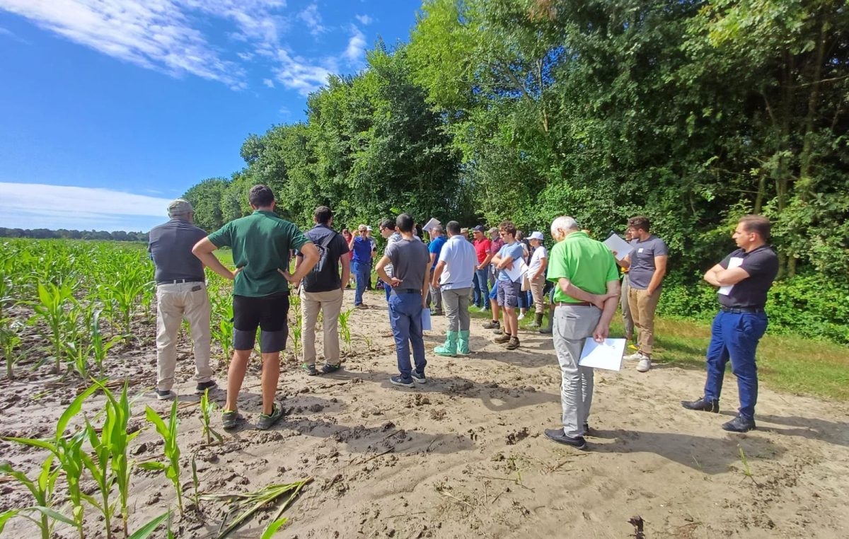 TAVOLO TEMATICO SUI SEMINATIVI: GIORNATA APERTA A VALLEVECCHIA