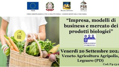 Impresa, modelli di business e  mercato dei prodotti biologici