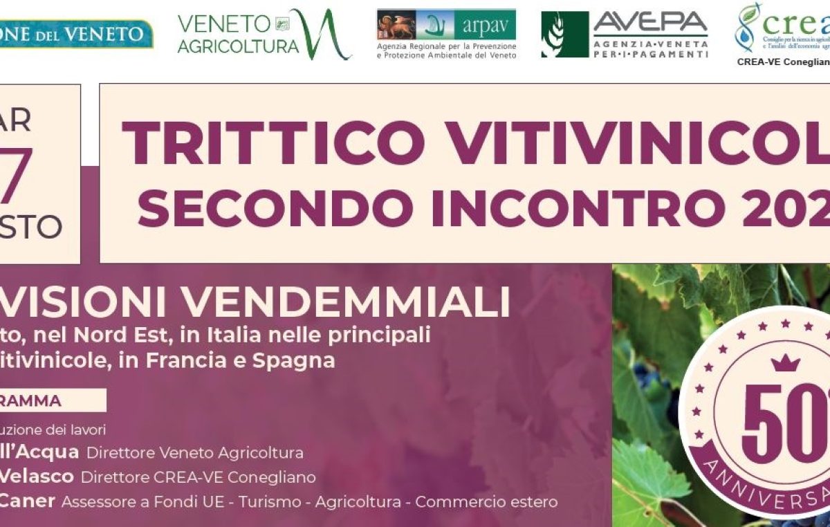 MARTEDÌ 27 AGOSTO FOCUS ON-LINE SUI PRIMI DATI PREVISIONALI DELLA VENDEMMIA 2024