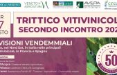 MARTEDÌ 27 AGOSTO FOCUS ON-LINE SUI PRIMI DATI PREVISIONALI DELLA VENDEMMIA 2024