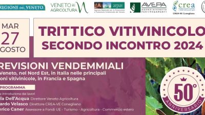 MARTEDÌ 27 AGOSTO FOCUS ON-LINE SUI PRIMI DATI PREVISIONALI DELLA VENDEMMIA 2024