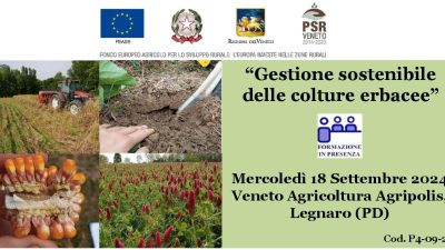 Gestione sostenibile colture erbacee