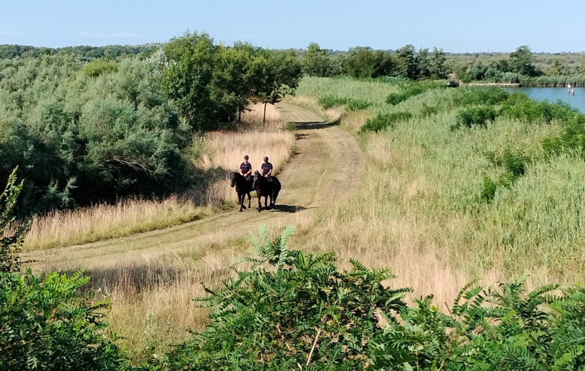 NELLE AREE NATURALISTICHE DEL VENETO ARRIVANO I CARABINIERI FORESTALI A CAVALLO