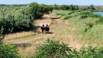 NELLE AREE NATURALISTICHE DEL VENETO ARRIVANO I CARABINIERI FORESTALI A CAVALLO