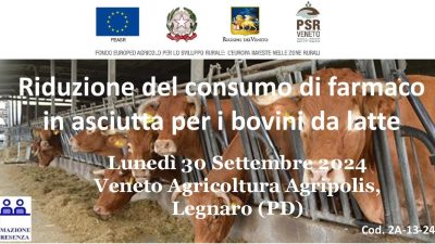 Riduzione del consumo di farmaco in asciutta per i bovini da latte