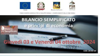 Bilancio semplificato e principi di economia