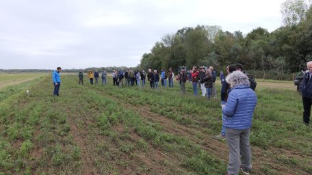 APPROCCIO OLISTICO ALL’AGRICOLTURA SOSTENIBILE E RIGENERATIVA