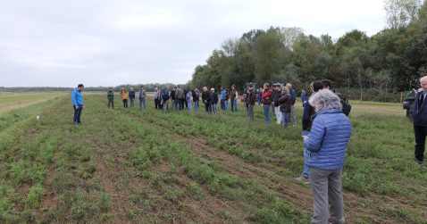 APPROCCIO OLISTICO ALL’AGRICOLTURA SOSTENIBILE E RIGENERATIVA