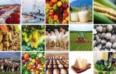 Rapporto 2021 sulla congiuntura del settore agroalimentare veneto